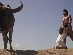 Leche 69 to tây dit me gia nhat ban ban nha,